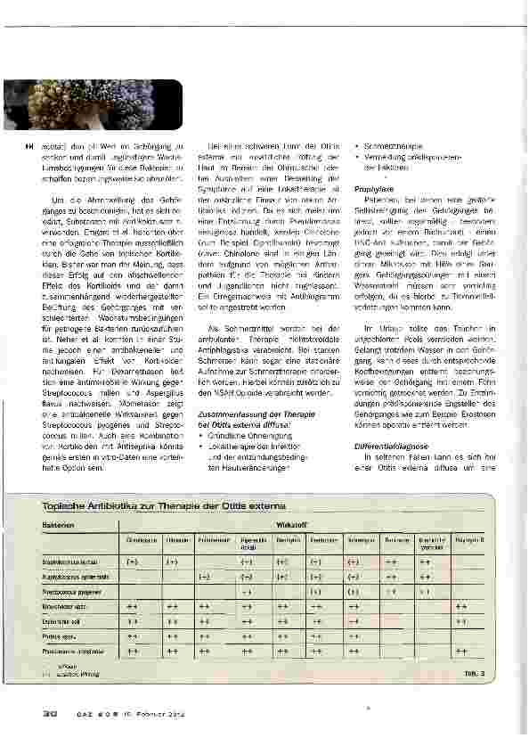 Vorschauseite 4: Otitis externa