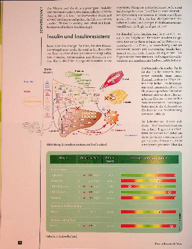 Vorschauseite 3: Stille Gefahr Labordiagnostik bei Stoffwechselstörungen