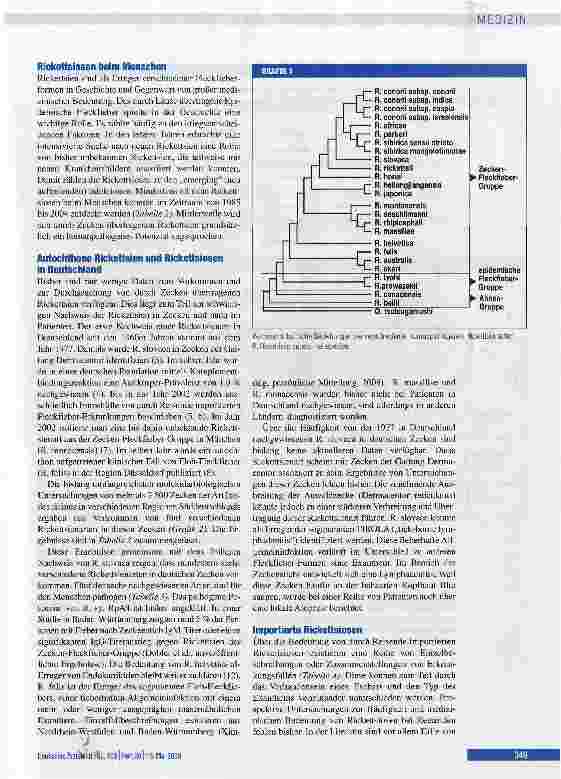 Vorschauseite 2: Fleckfieber und andere Rickettsiosen