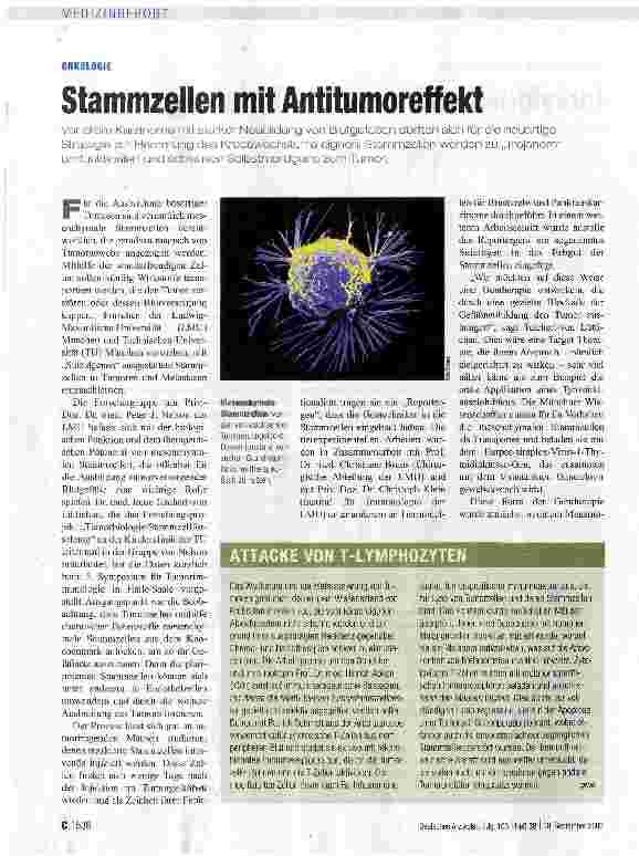 Vorschauseite 1: Stammzellen mit Antitumoreffekt