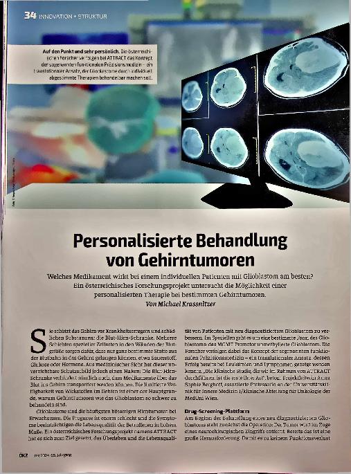 Vorschauseite 1: Personalisierte Behandlung von Gehirntumoren