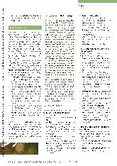 Vorschauseite 4: Achtsame Selbstwahrnehmung üben Selbstfürsorge im Berufsalltag.