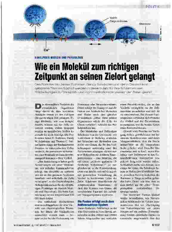 Vorschauseite 1: Wie ein Molekül zum richtigen Zeitpunkt an seinen Zielort gelangt