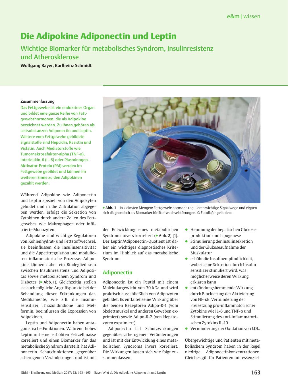 Vorschauseite 1: Die Adipokine Adiponectin und Leptin