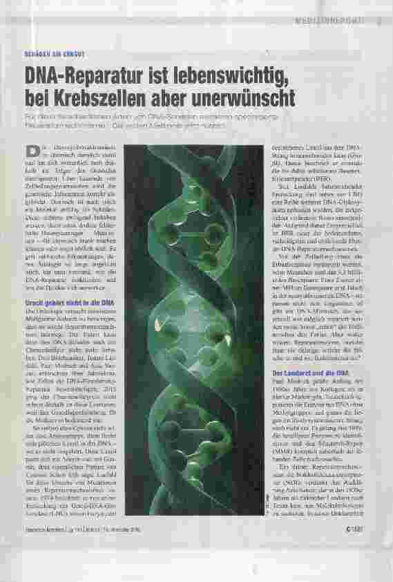 Vorschauseite 1: DNA-Reparatur ist lebenswichtig, bei Krebszellen aber unerwünscht