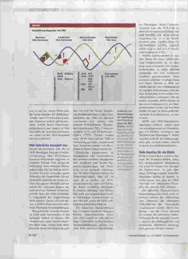 Vorschauseite 2: DNA-Reparatur ist lebenswichtig, bei Krebszellen aber unerwünscht