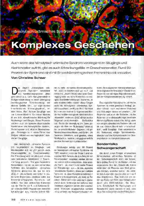 Vorschauseite 1: Komplexes Geschehen