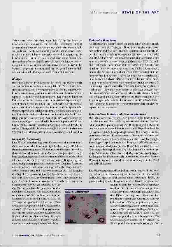Vorschauseite 5: Management der Osteoporose - Update