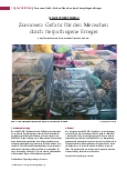Vorschauseite 1: Zoonosen: Gefahr für den Menschen durch tierpathogene Erreger