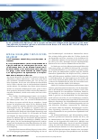 Vorschauseite 1: Wie das Immunsystem SARS-CoV-2 den Weg ebnet