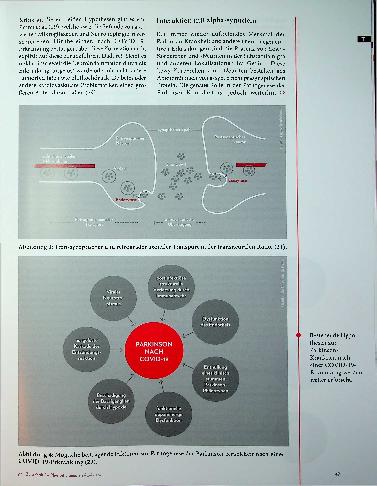 Vorschauseite 5: Parkinson-Krankheit und COVID-19 Viele Wege führen ins Dopaminsystem
