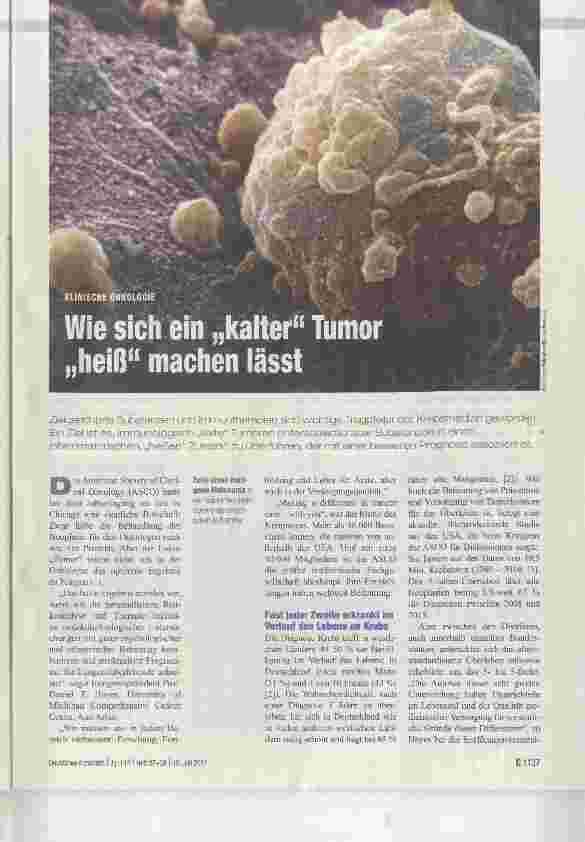 Vorschauseite 1: Wie sich ein kalter Tumor heiß machen lässt
