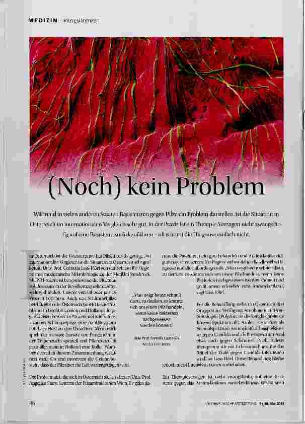 Vorschauseite 1: (Noch) kein Problem