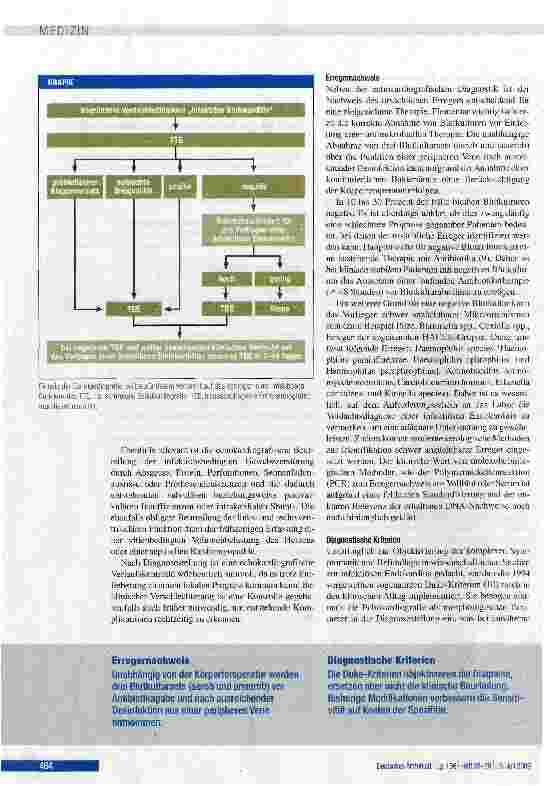 Vorschauseite 4: Endokarditis - Prophylaxe, Diagnostik und Therapie