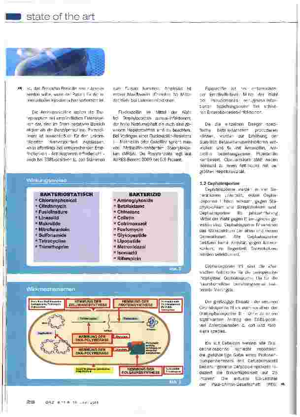 Vorschauseite 3: ANTIBIOTIKA