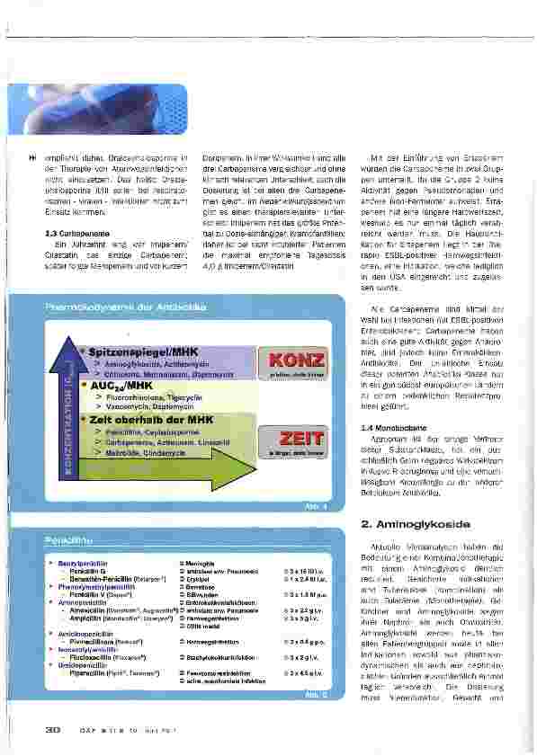 Vorschauseite 4: ANTIBIOTIKA