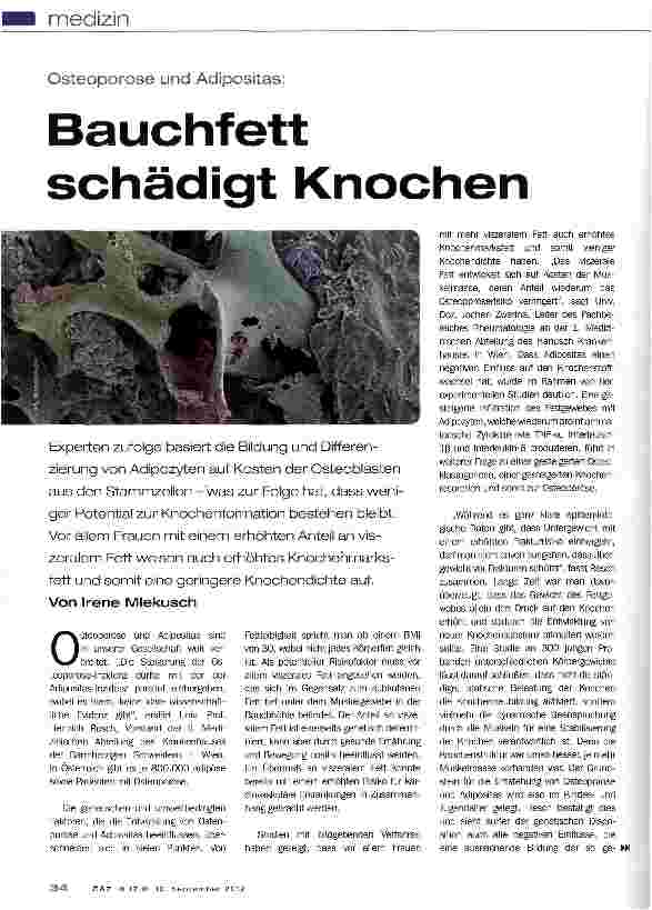 Vorschauseite 1: Bauchfett schädigt Knochen