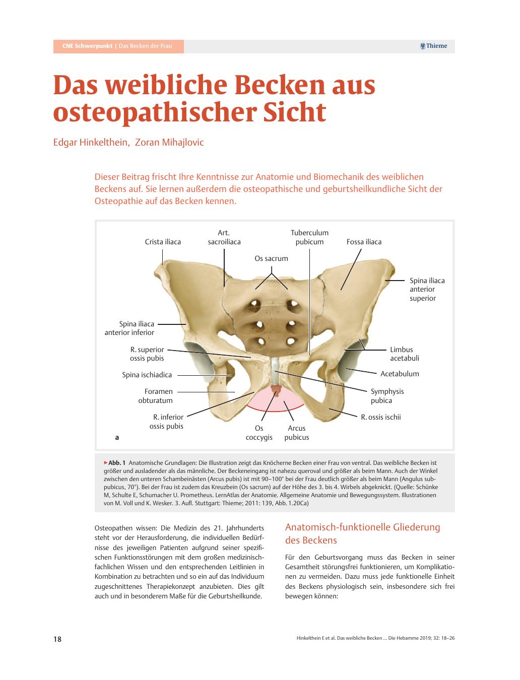 Vorschauseite 1: Das weibliche Becken aus osteopathischer Sicht
