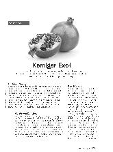Vorschauseite 1: Kerniger Exot