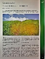 Vorschauseite 1: Lebensstufen Von einem, der nicht nur die Phytotherapie rockt