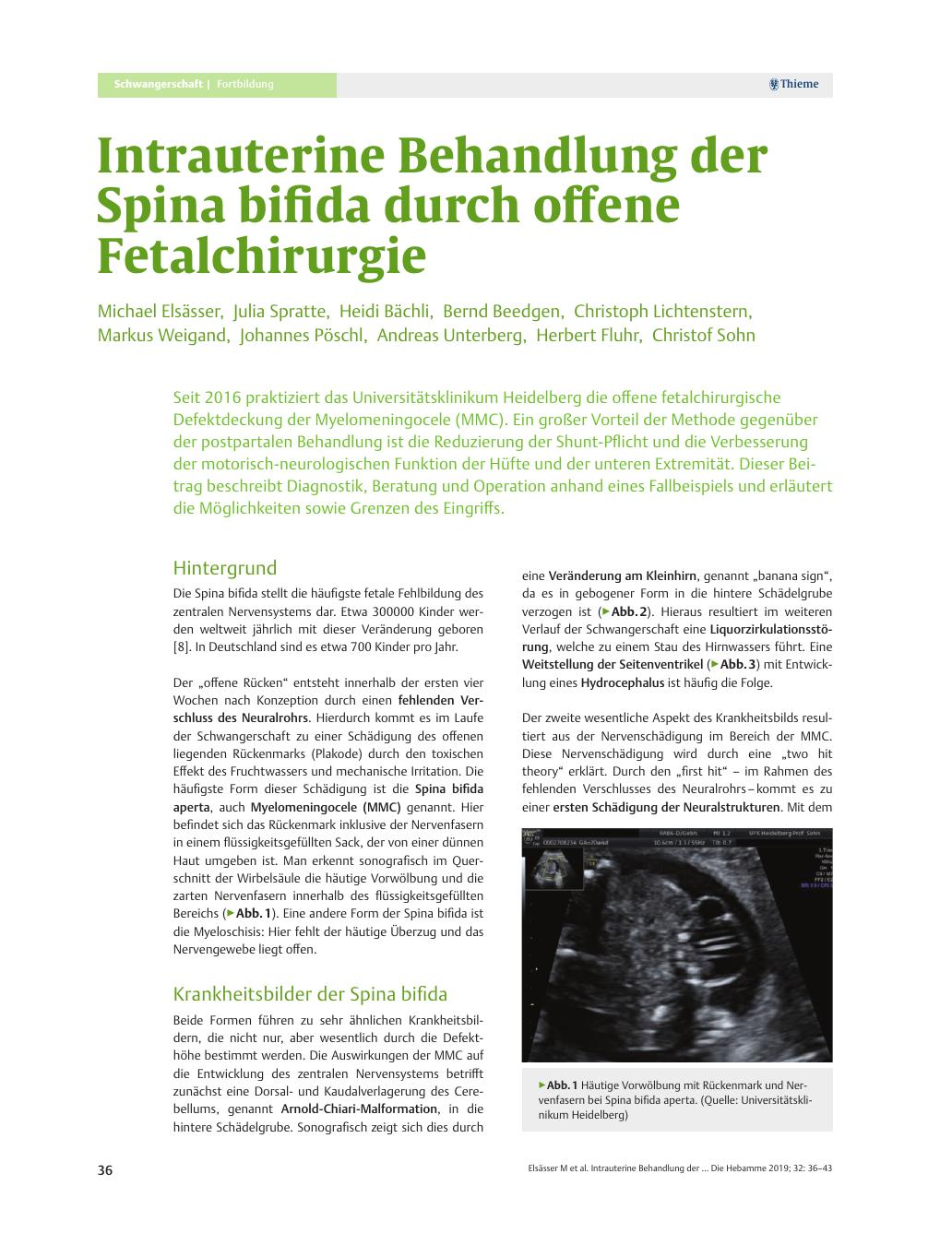 Vorschauseite 1: Intrauterine Behandlung der Spina bifida durch offene Fetalchirurgie