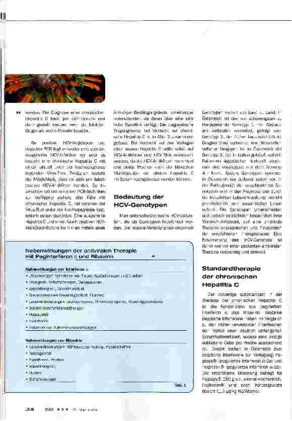 Vorschauseite 4: Hepatitis C
