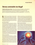 Vorschauseite 1: Stress entsteht im Kopf.