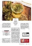 Vorschauseite 4: Was Cannabis KANN