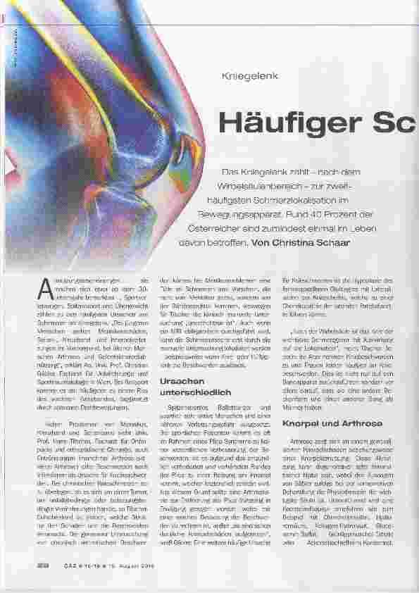 Vorschauseite 1: Häufiger Schmerzgeber