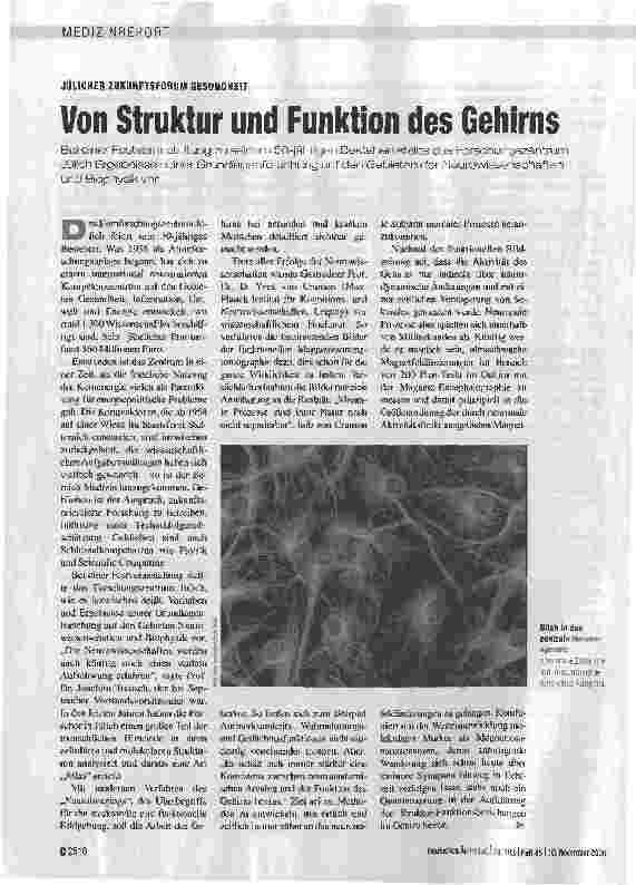 Vorschauseite 1: Von Struktur und Funktion des Gehirns