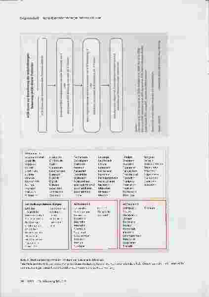 Vorschauseite 3: Algorithmus zur Reduktion anticholinerger Nebenwirkungen. Eine Hilfestellung für Ärzte und Apotheker
