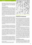 Vorschauseite 2: Interprofessionelle Zusammenarbeit im Gesundheitswesen - Herausforderung und Chance