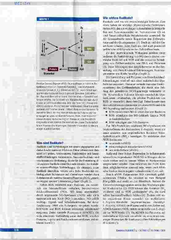 Vorschauseite 2: Guter Stress, schlechter Stress -die feine Balance in Blutgefäßen
