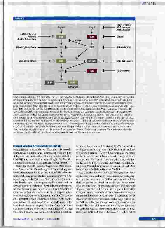 Vorschauseite 3: Guter Stress, schlechter Stress -die feine Balance in Blutgefäßen