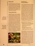 Vorschauseite 3: CVI - das 3-Säulen-Konzept bei Venenschwäche