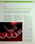 Vorschauseite 1: Syphilis: Eine vergessene Krankheit kehrt zurück