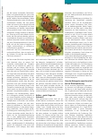 Vorschauseite 2: Kulturfallen wahrnehmen und kritisch hinterfragen: Diversity (in) der Ergotherapie