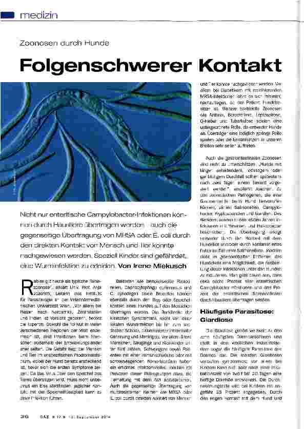 Vorschauseite 1: Folgenschwerer Kontakt