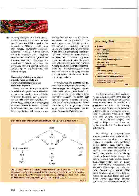 Vorschauseite 5: Peripherie Neuropathien