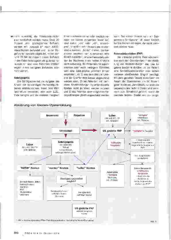 Vorschauseite 4: Schilddrüsenknoten und Schilddrüsenzysten
