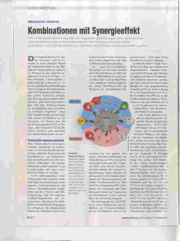 Vorschauseite 1: Kombinationen mit Synergieeffekt