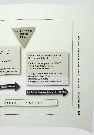 Vorschauseite 4: Implementierung und Evaluation von Videokontakten in der spezialisierten ambulanten pädiatrischen Palliativversorgung