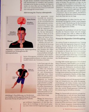 Vorschauseite 3: Wenn das Gehirn die Schulter festhält Neurozentrierte Therapieansätze bei Frozen Shoulder