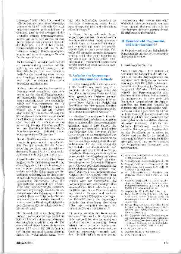 Vorschauseite 3: Erforderlichkeit der Betreuung und der Vorrang anderer Hilfen1