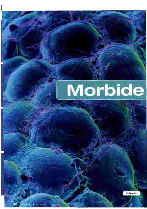 Vorschauseite 1: Morbide Adipositas