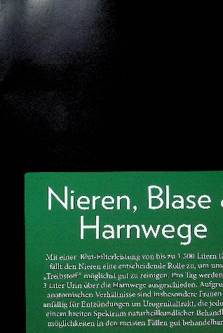 Vorschauseite 2: Die Niere - gibt den Schwung in den Lebensäußerungen.