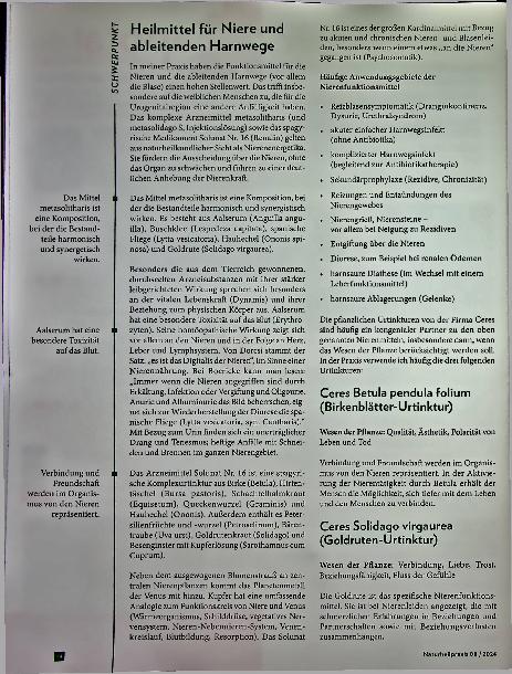 Vorschauseite 5: Die Niere - gibt den Schwung in den Lebensäußerungen.