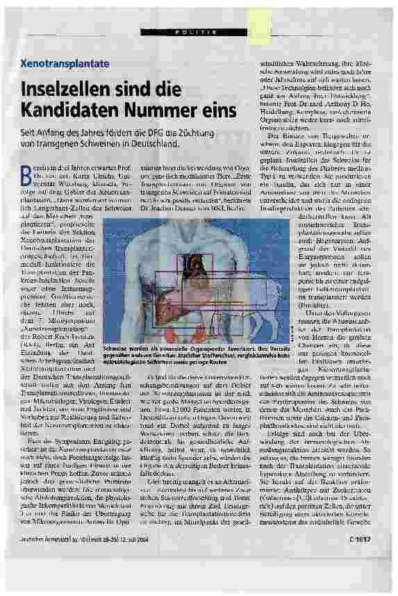 Vorschauseite 1: XenotransplantateInselzellen sind die Kandidaten Nummer eins