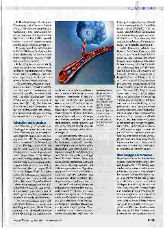 Vorschauseite 3: Auf der Suche nach der Achillesferse der Tumoren