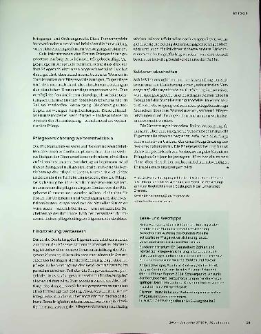 Vorschauseite 6: Sanierungsstau an der fünften Säule